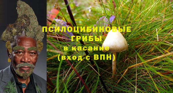 PSILOCYBIN Богданович